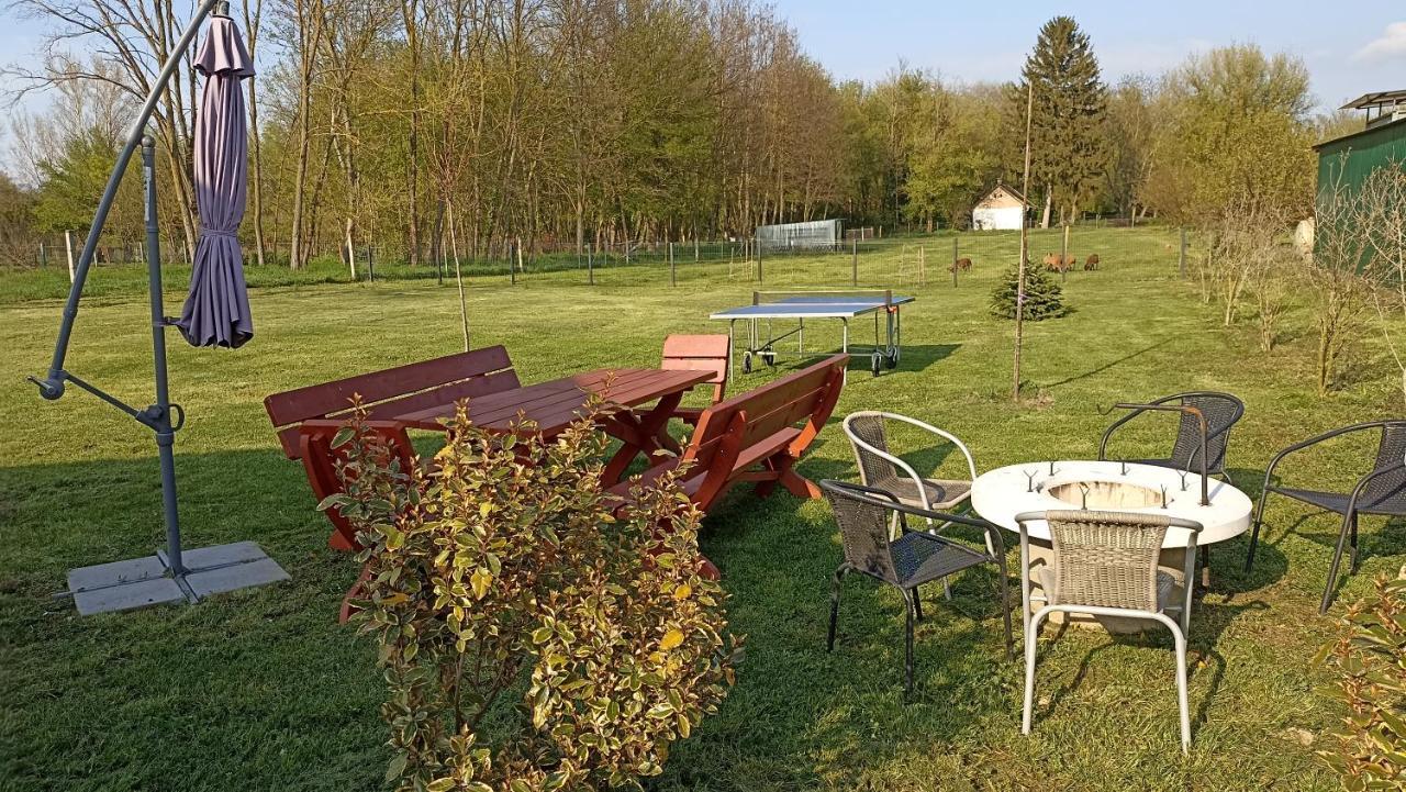 Sueni Apartman Ordacsehi Exteriér fotografie
